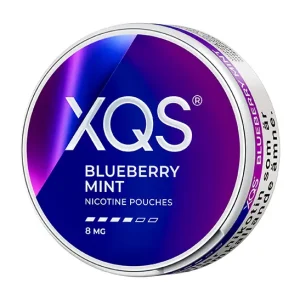 XQS Blueberry Mint 8mg