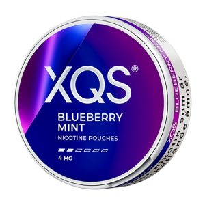 XQS Blueberry Mint 4mg